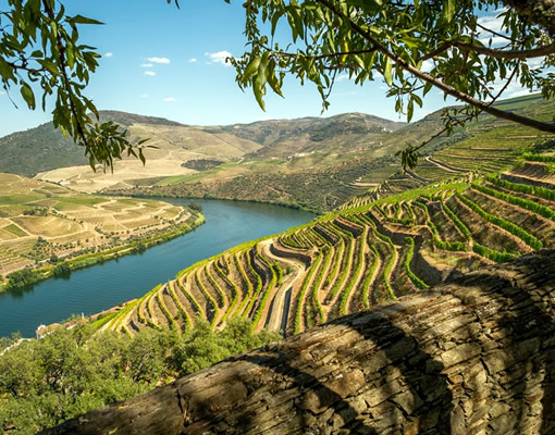 Douro Valley Route